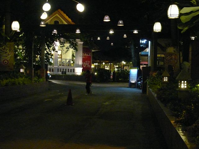 P1030378